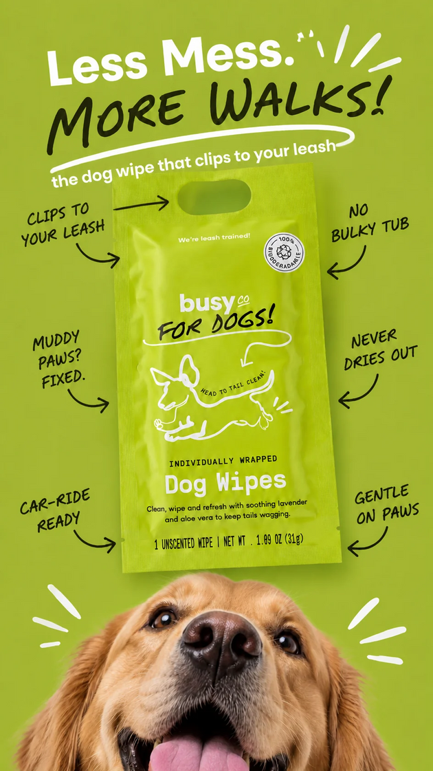 Unscented XL Dog Wipes